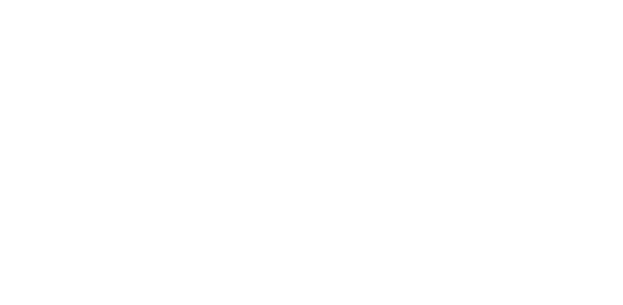 wpvip-white